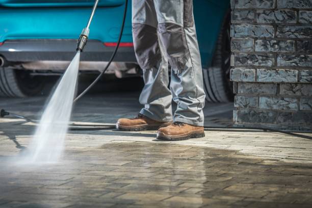 Pre-Holiday Cleaning in Lake Grove, NY