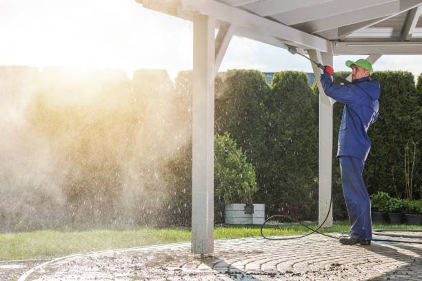 Best Solar Panel Cleaning  in Lake Grove, NY